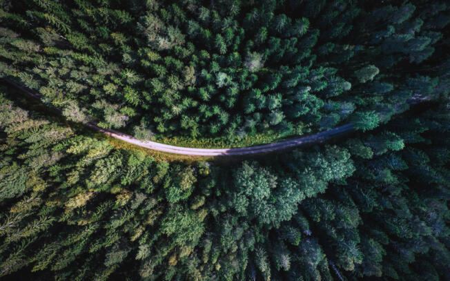 Photograph for ESG: Is Governance the poor relation?